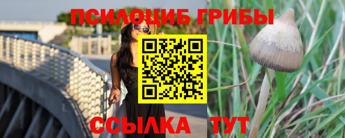 Галлюциногенные грибы MAGIC MUSHROOMS  Галлюциногенные грибы Cubensis  Вход с VPN  Нижний Тагил 